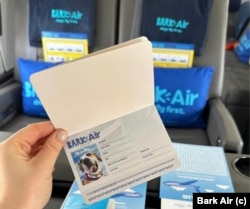 Köpeklere özel uçuş kartı ve pasaport