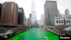 Chicago Nehri, Mart ayındaki Aziz Patrick Günü kutlamaları için yeşile boyanıyor.