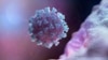 Corona virüsü salgını kısıtlamalarıyla geçen iki yıldan uzun sürenin ardından virüsün yeni varyantı olan Eris, tüm dünyada hızla yayılmaya devam ediyor