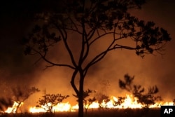 Brezilya da büyük orman yangınları yaşanan ülkelerin başında geliyor.